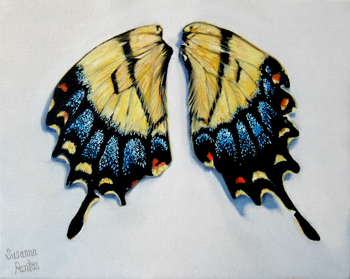 Contemplation: Tiger Swallowtail Wings by Susanna Pantas